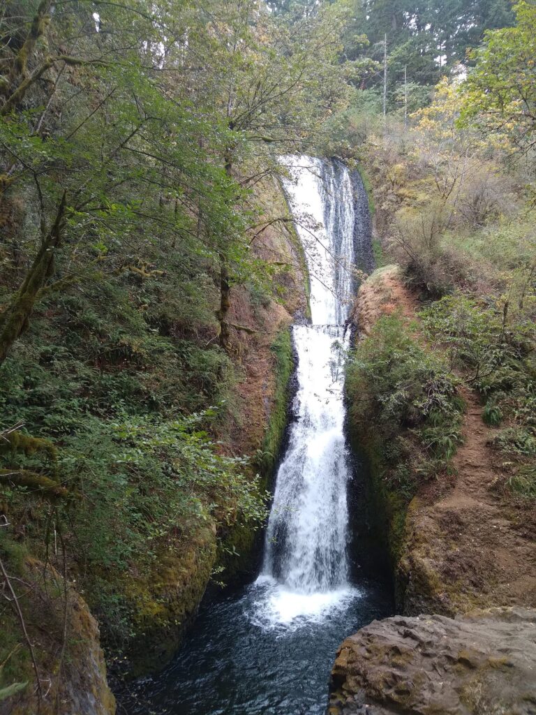 A two-tiered waterfall falling into a pool in a narrow, leafy canyon
