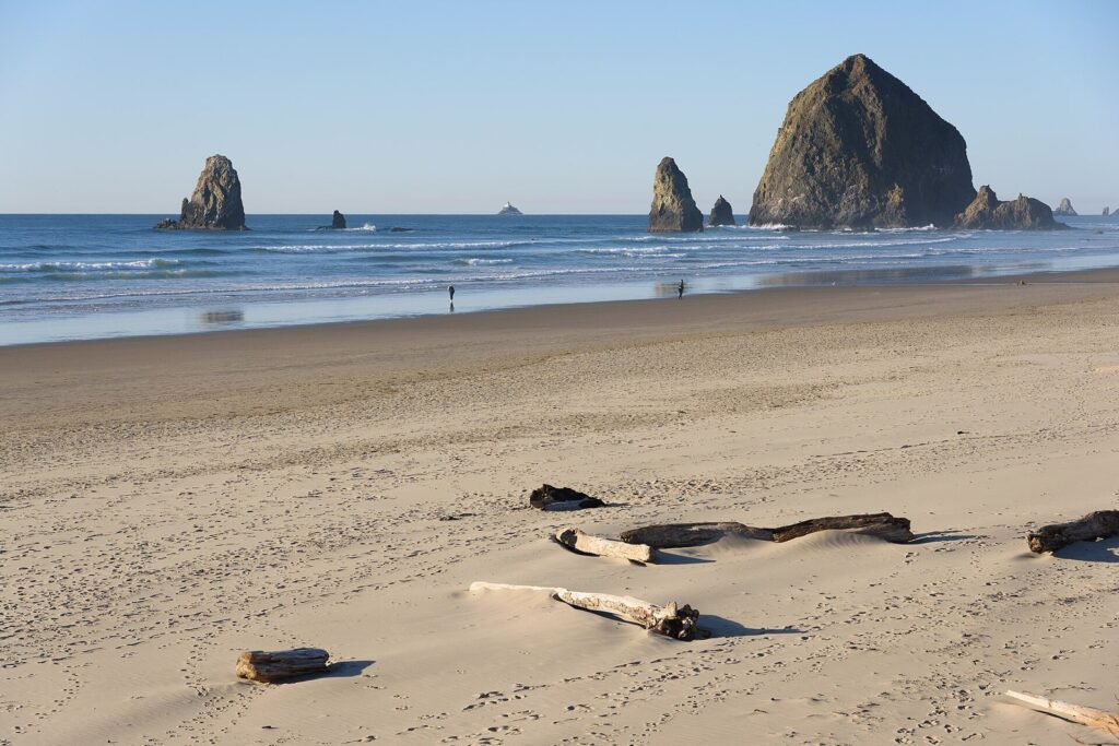 Haystack Rock and the smaller Needles rising beyond a wide sand beach scattered with driftwood at Cannon Beach