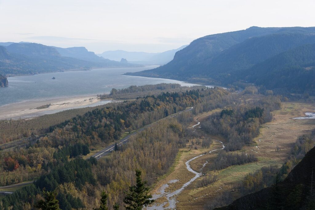 The Columbia River curving east between forested cliffs, seen from the high viewpoint at Crown Point in autumn