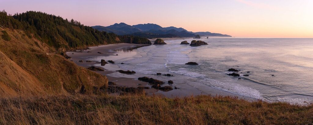 Forested bluffs above a rocky cove, with headlands fading south along the coastline in evening light