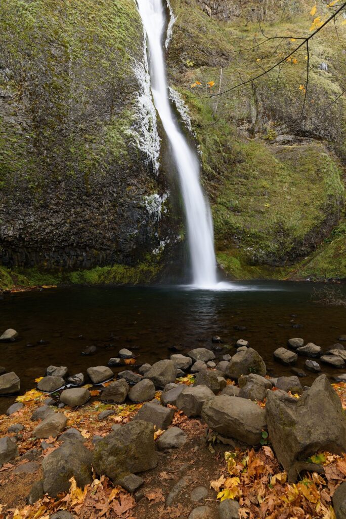 A long, narrow waterfall falling into a pool at the base of a mossy cliff, with fallen autumn leaves on the rocks