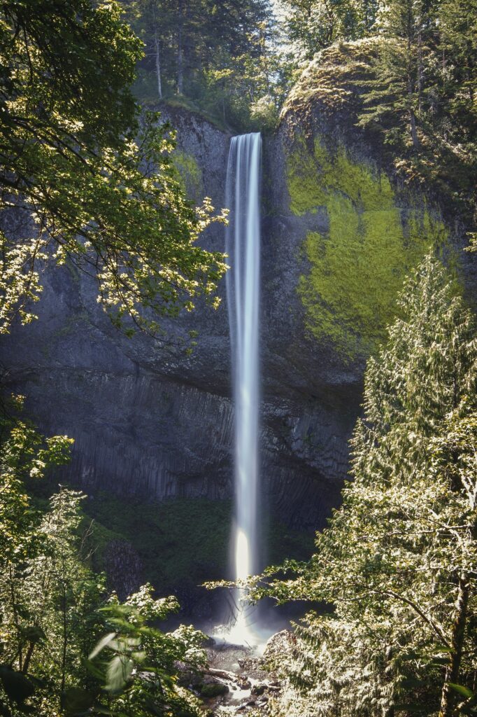 Latourell Falls dropping in a single thin ribbon over a curving basalt cliff streaked with yellow lichen, framed by trees