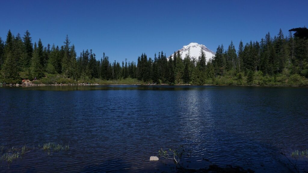 A small forest lake with Mount Hood's white summit rising above a line of fir trees