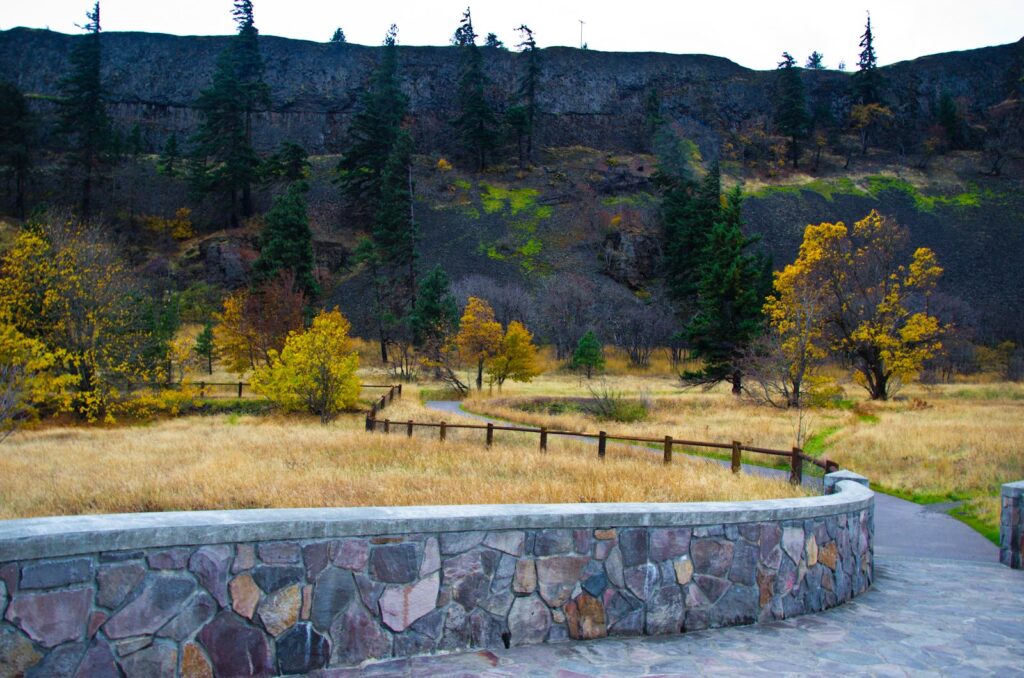 A curving stone-walled trail through a grassy slope of yellow oaks and dark firs below basalt cliffs