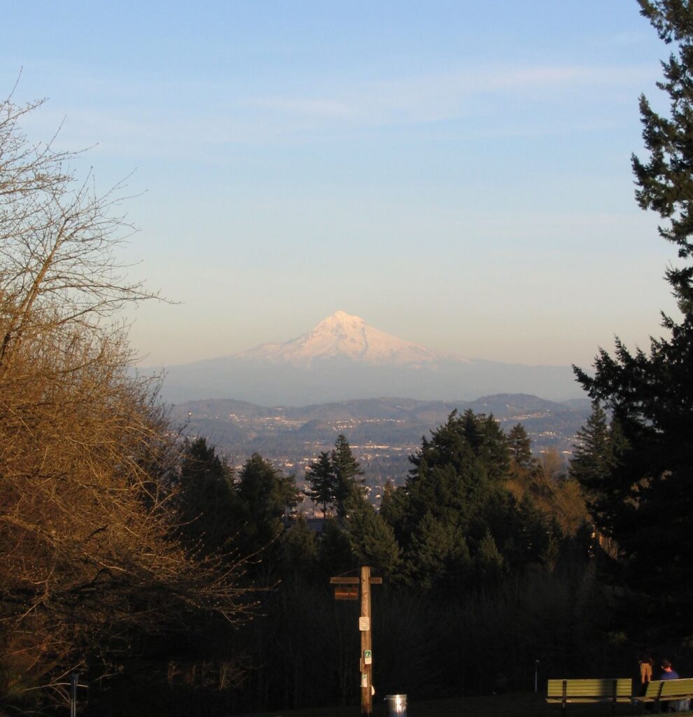 Snow-covered Mount Hood glowing above distant hills at dusk, framed by dark trees and a trail signpost