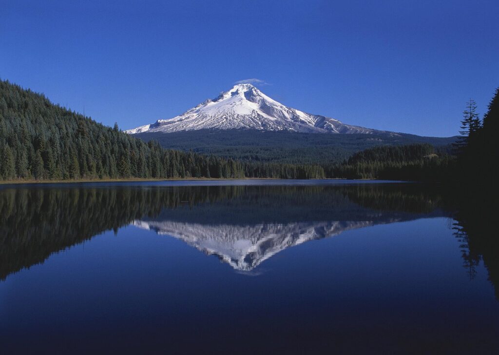 Snow-covered Mount Hood reflected in the calm water of Trillium Lake, framed by dark conifer forest