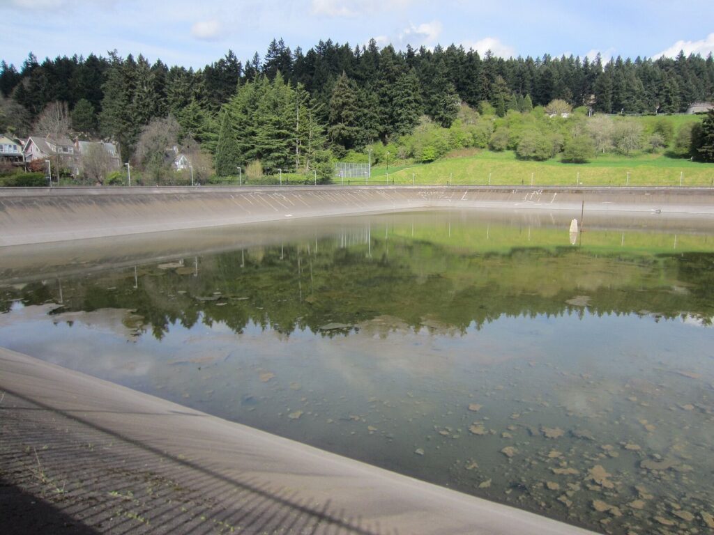 An open city reservoir with a sloping concrete edge, surrounded by lawn, fir trees and houses