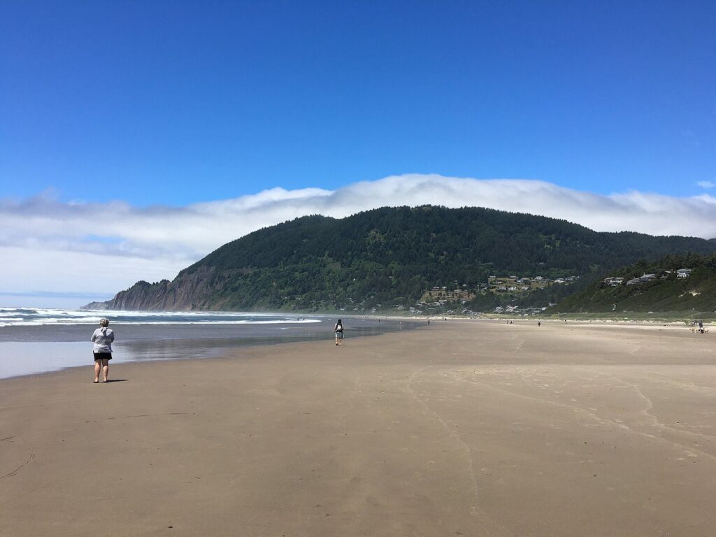 A forested mountain dropping to the sea behind a long, nearly empty sand beach under a blue sky