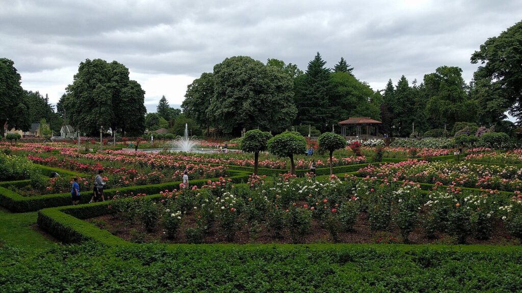 A sunken formal rose garden with low clipped hedges, rose beds and a central fountain under a cloudy sky