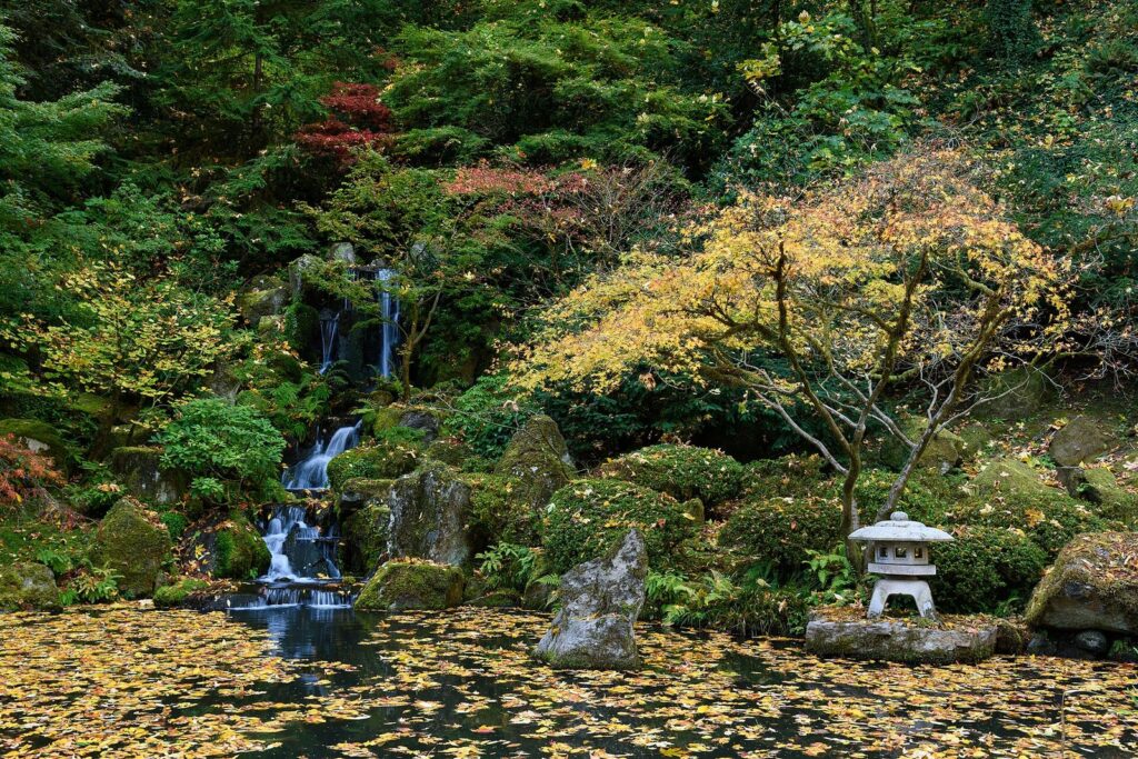 Heavenly Falls spilling into a pond covered with fallen yellow leaves at the Portland Japanese Garden