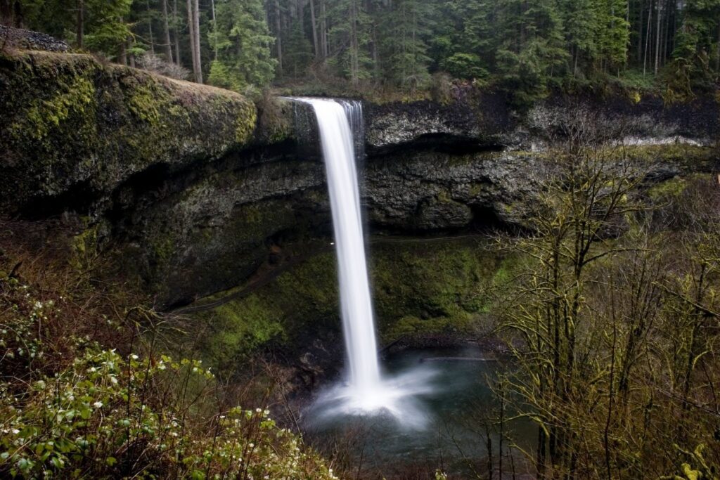 South Falls pouring in a single white ribbon over a mossy basalt cliff into a pool, surrounded by forest
