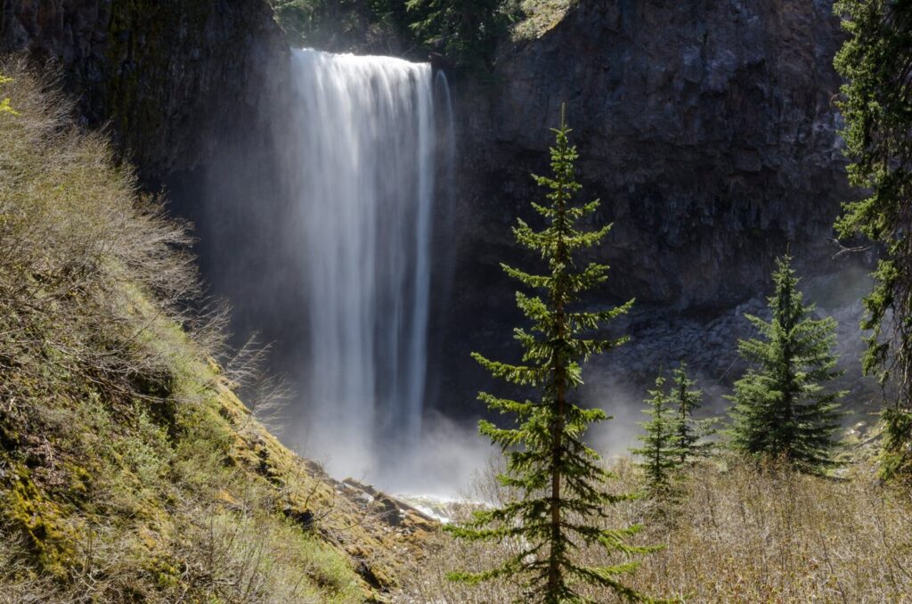 A broad waterfall pouring off a dark cliff into mist, with young conifers in the foreground