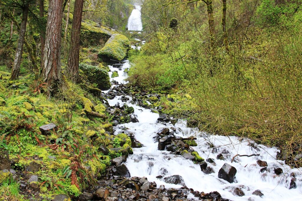 A tall, narrow waterfall above a steep, rocky cascade through bright green spring forest